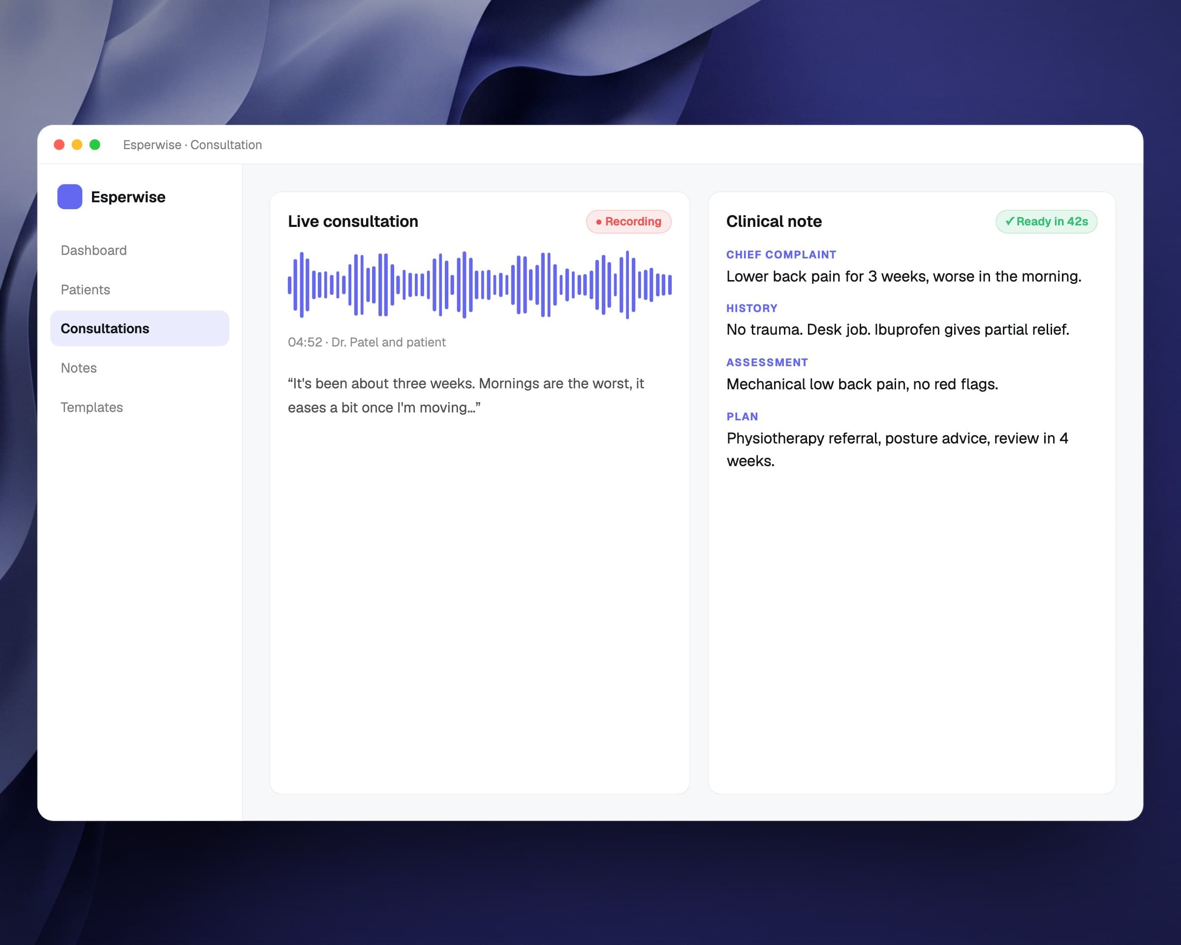 Esperwise: AI Scribe for Doctors